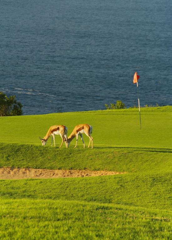 Mossel Bay Golf Lodge Eksteriør billede